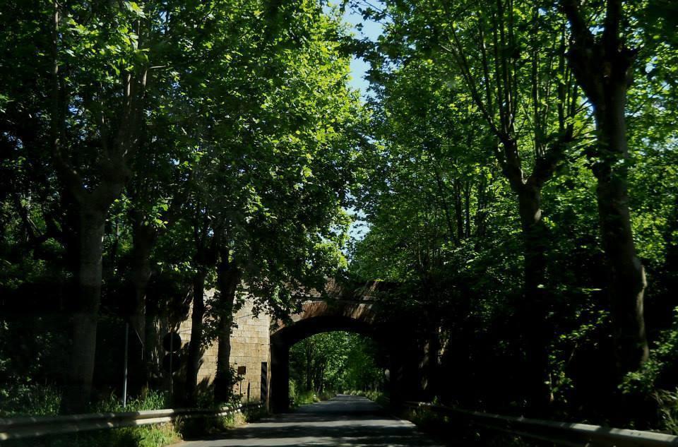 Agriturismo Casale Re Sonnino الغرفة الصورة