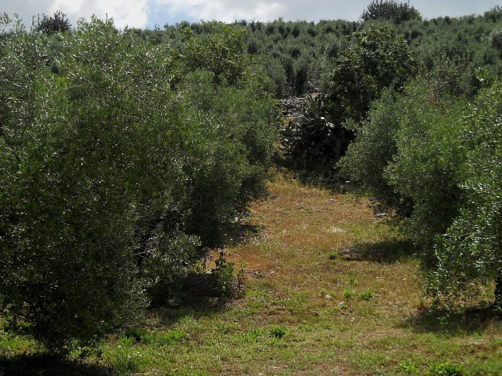 Agriturismo Casale Re Sonnino الغرفة الصورة